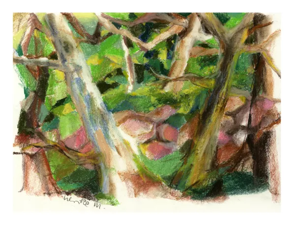 Paintings - Forêt des mousses