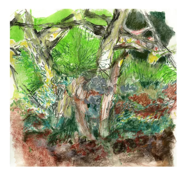 foret des mousses 02