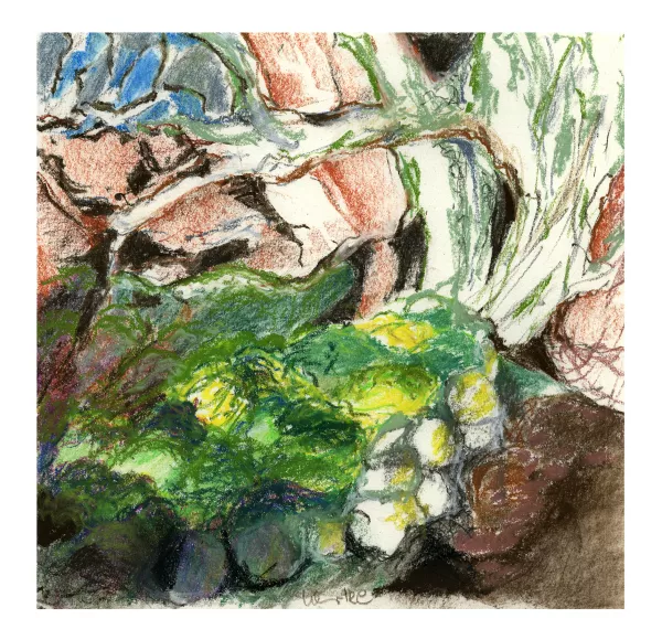 foret des mousses 04