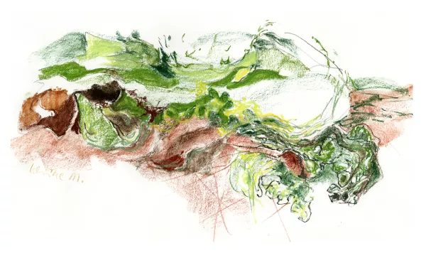 foret des mousses 07